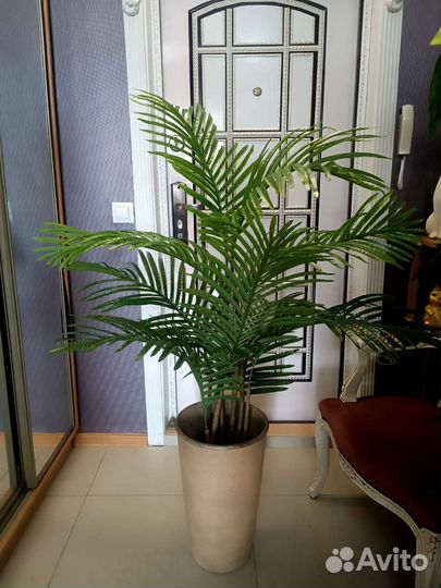 Искусственная пальма