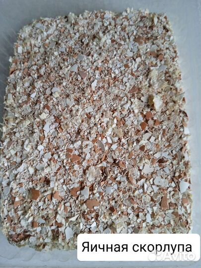 Мел кормовой, Ракушка, Канареечное семя, Сепия