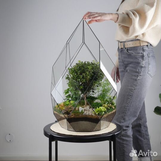 Магазин растений и флорариумов