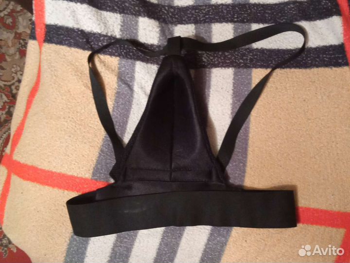 Ракушка хоккейная