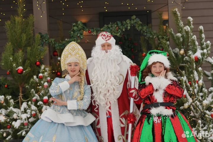 Дедушка Мороз и Снегурочка на дом