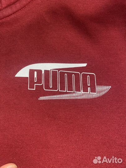 Зипка puma