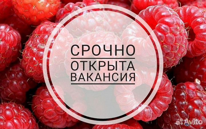 Сотрудник(ца) на предприятие.Вахта 15/15 без опыта
