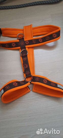 Шлейка для собаки