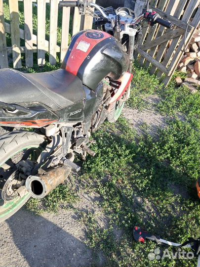 Рейсер нитро 250