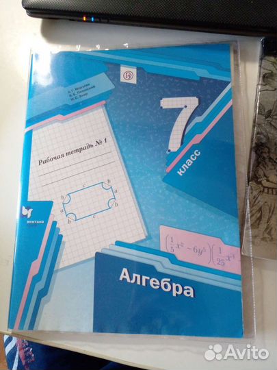 Рабочая тетрадь по алгебре 7 класс часть 1+2