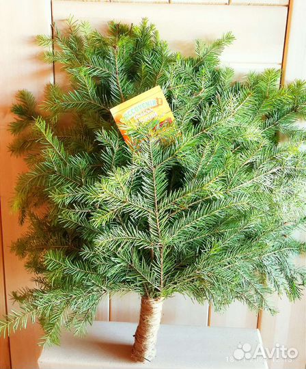 Веники для бани и сауны