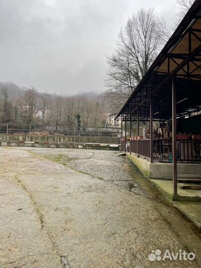 Постой лошадей