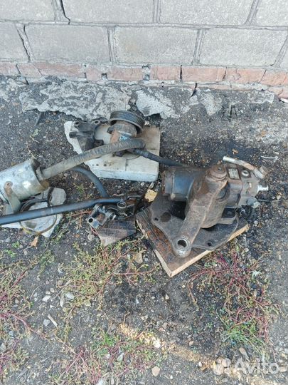 Гур на газель