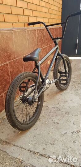 Bmx wtp reason