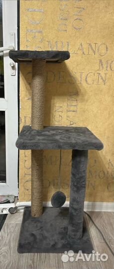 Когтеточка