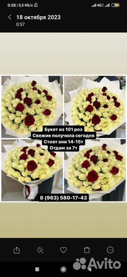 Цветы букеты 101 роза