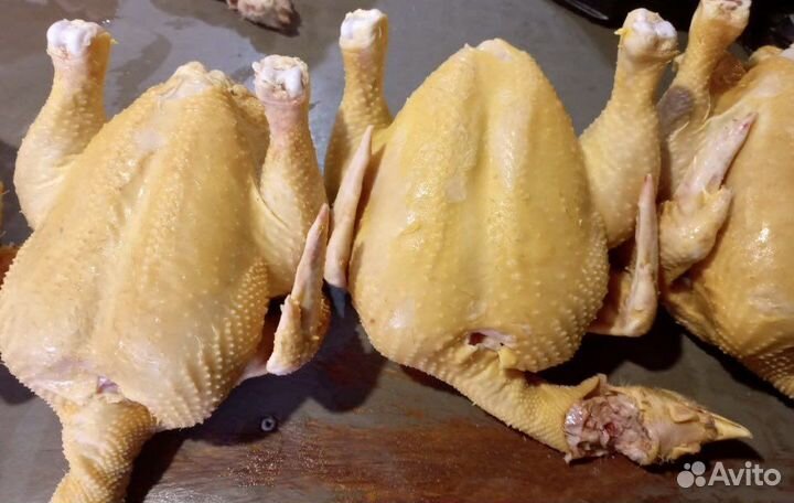 Куры бройлеры тушка