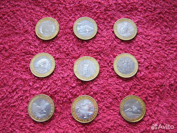 Красная книга - Черный гриф