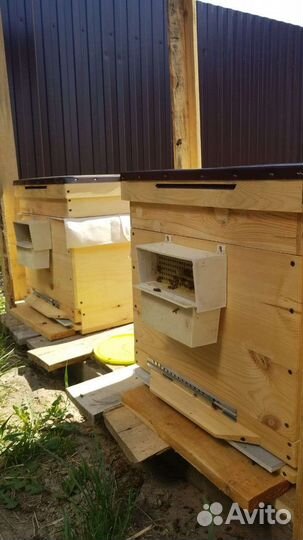 Мед,продукты пчеловодства