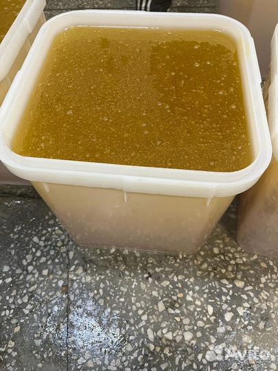 Свежий донник оптом