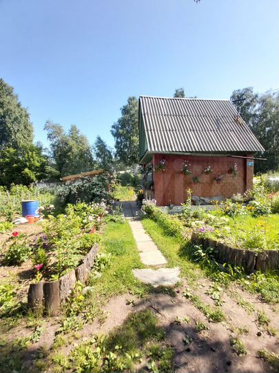 Дача 20,5 м² на участке 6 сот.