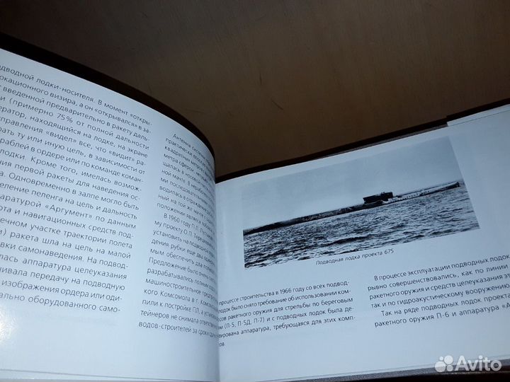 Саравайский К. З. Павел Петрович Пустынцев