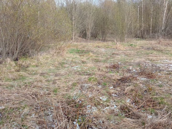 Участок 12,6 сот. (СНТ, ДНП)