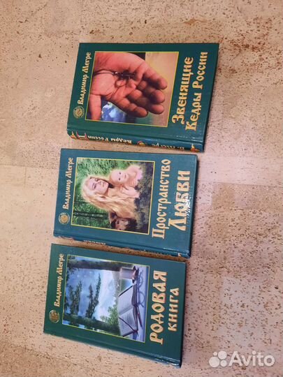 Владимир Мегре