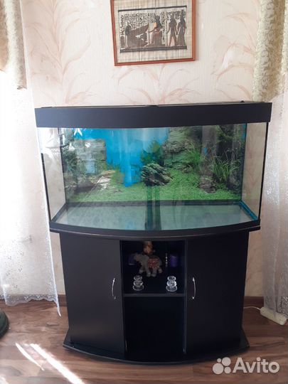 Аквариум 200литров с тумбой