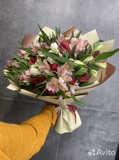 Монобукет из альстромерии