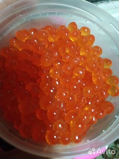 Икра Кеты Премиум