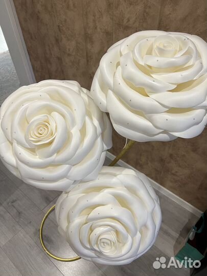 Декоративные цветы