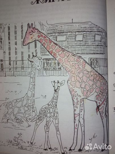 Раскраска-книга 