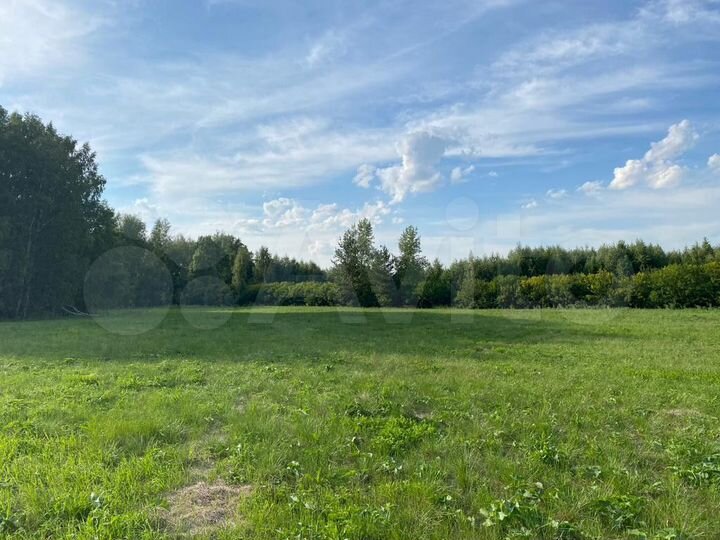 Участок 5 га (СНТ, ДНП)