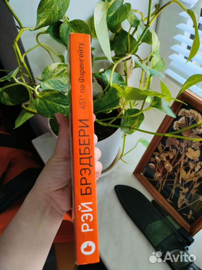 451 градус по фаренгейту