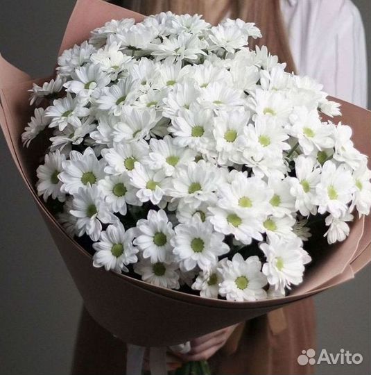 Хризантема Доставка цветов Букеты