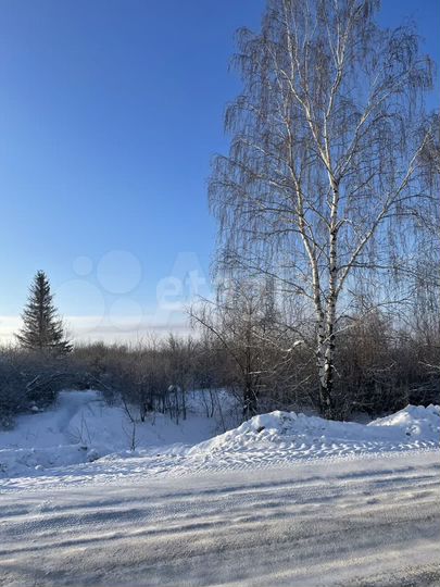 Участок 5,5 сот. (СНТ, ДНП)