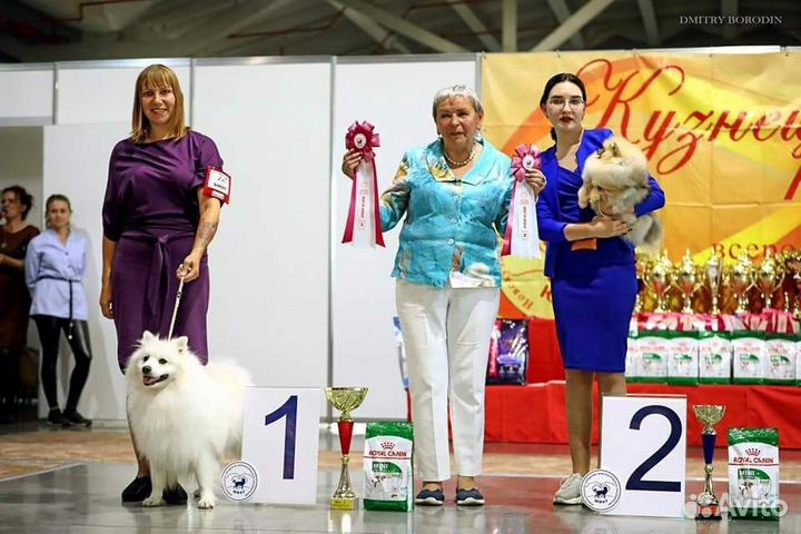 Вязка кабеля