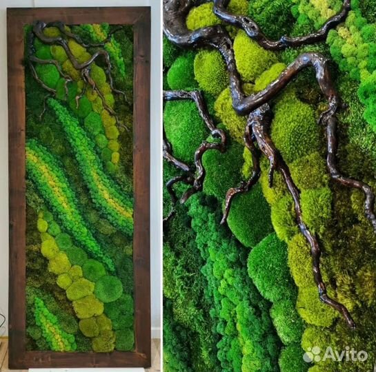 Мох стабилизированный фитокартина фитостена панно