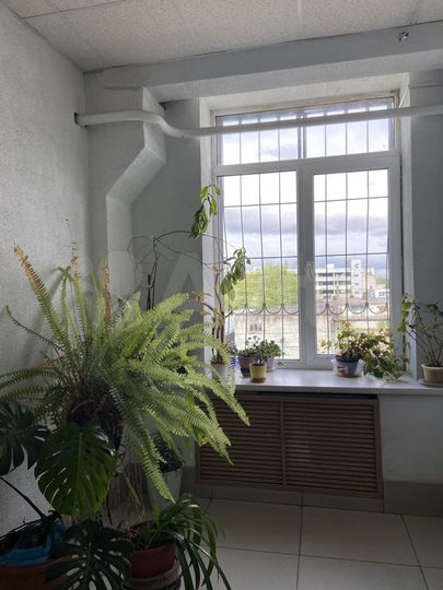 Помещения свободного назначения