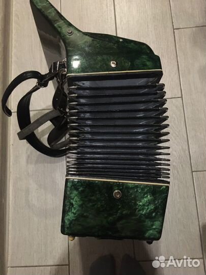 Аккордеон юность3