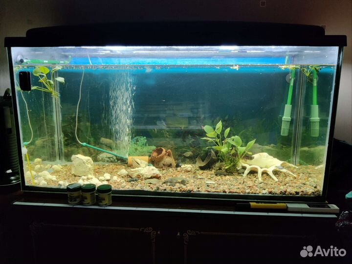 Аквариум 200 литров
