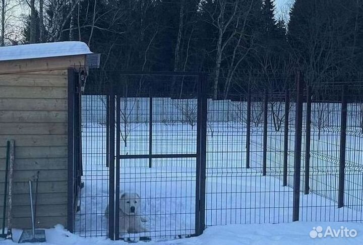 Забор из 3Д сетка для вольеров