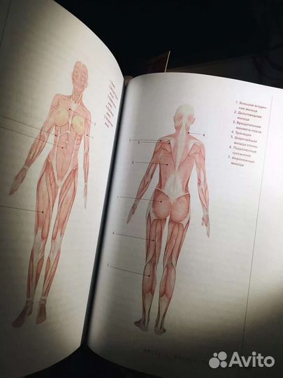 Книга о теле. Твёрдая обложка