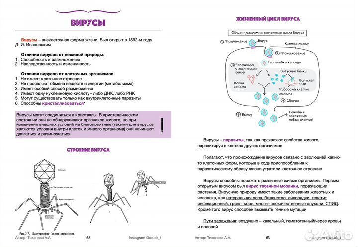 Репетитор по биологии егэ