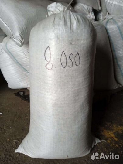 Семена мордовника