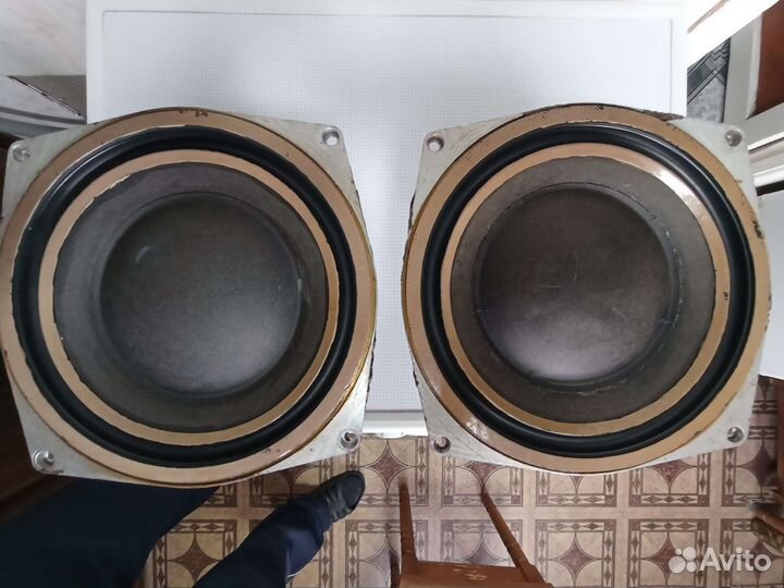 Динамики нч