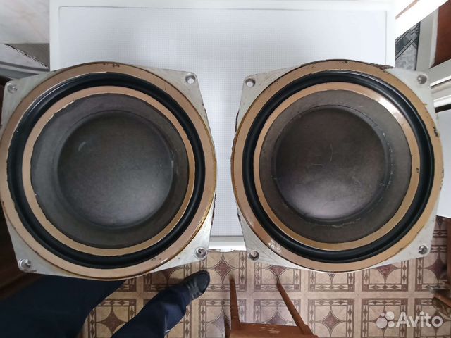 Динамики нч