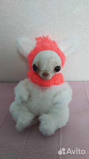 Игрушка чихуахуа в стиле тедди