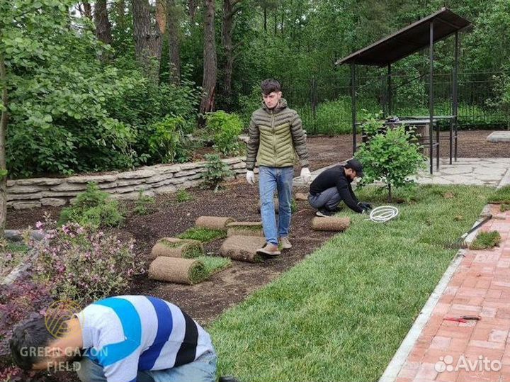 Полевой газон с поля