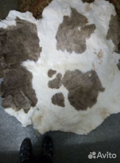 Выделка шкур диких и домашних животных