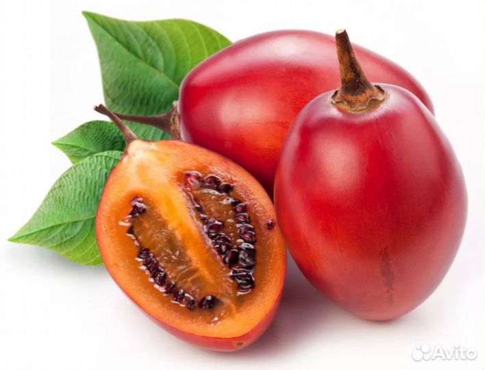 Саженец Томарилло