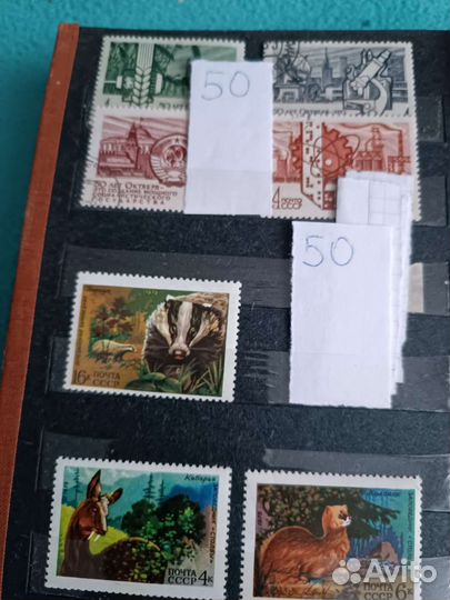 Почтовые марки СССР Фауна Спорт
