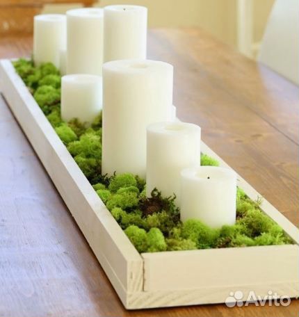 Стабилизированный мох (реклама)